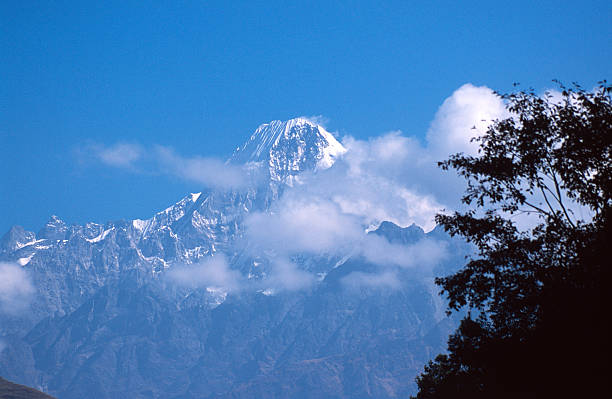 Mountain and treesMore images of same photographer in lightbox: