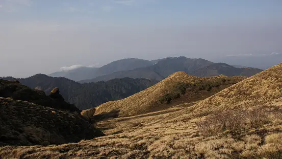 istockphoto-1777276312-170667a