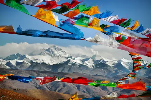 istockphoto-1151207767-170667a