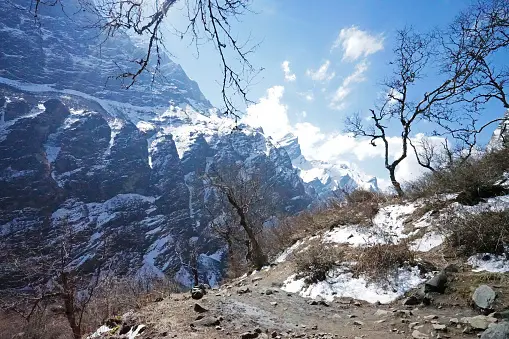 istockphoto-1336503093-170667a